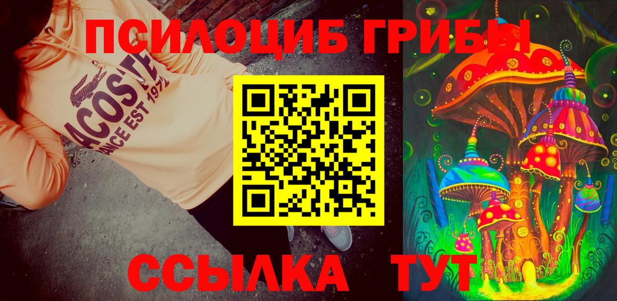 Каменск-Шахтинский  Галлюциногенные грибы прущие грибы  где продают   Вход с VPN  Псилоцибиновые грибы Psilocybe 